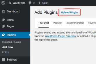 Screenshot: Upload plugin button